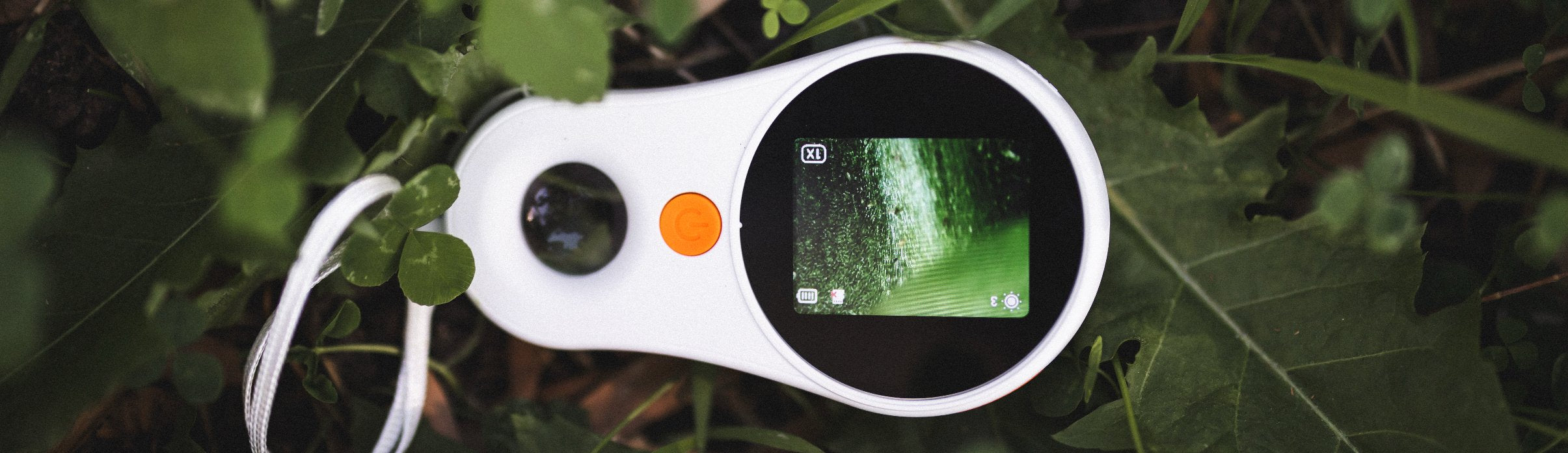 Ages 11 to Grown Ups