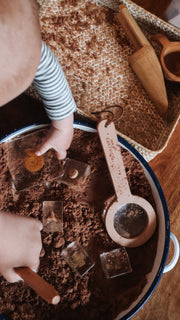 Fossil Finder Bundle