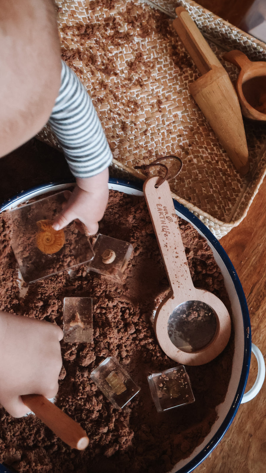 Fossil Finder Bundle