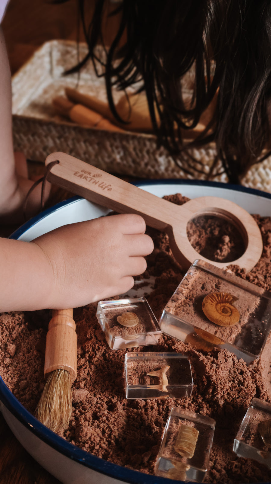 Fossil Finder Bundle