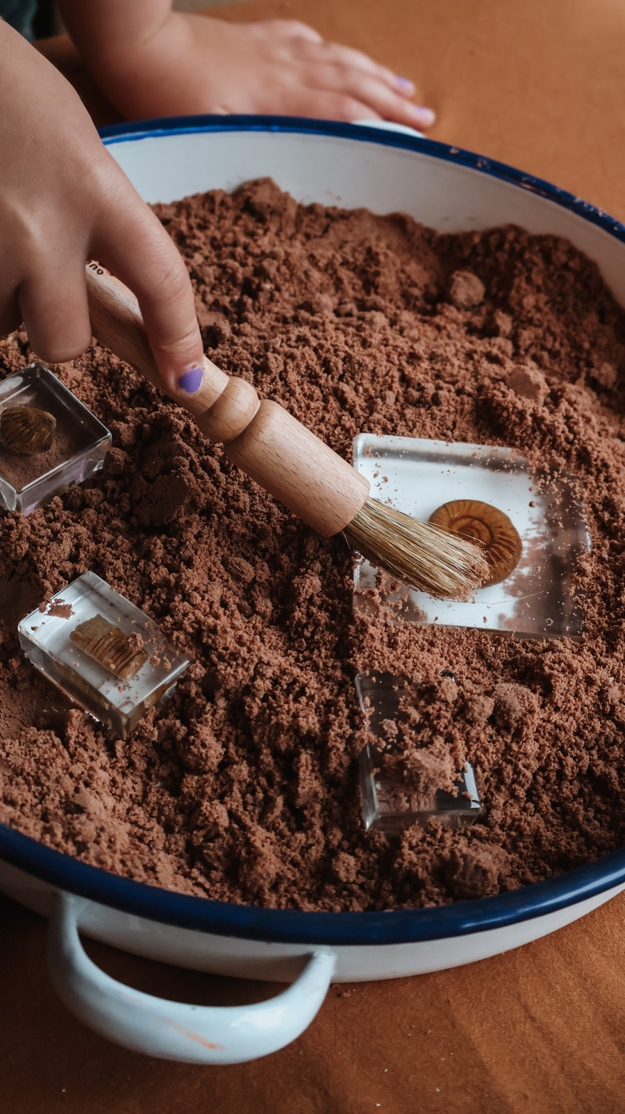 Wooden  Discovery Brush