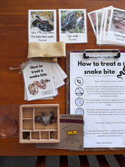 Adventure Warrior Box #3