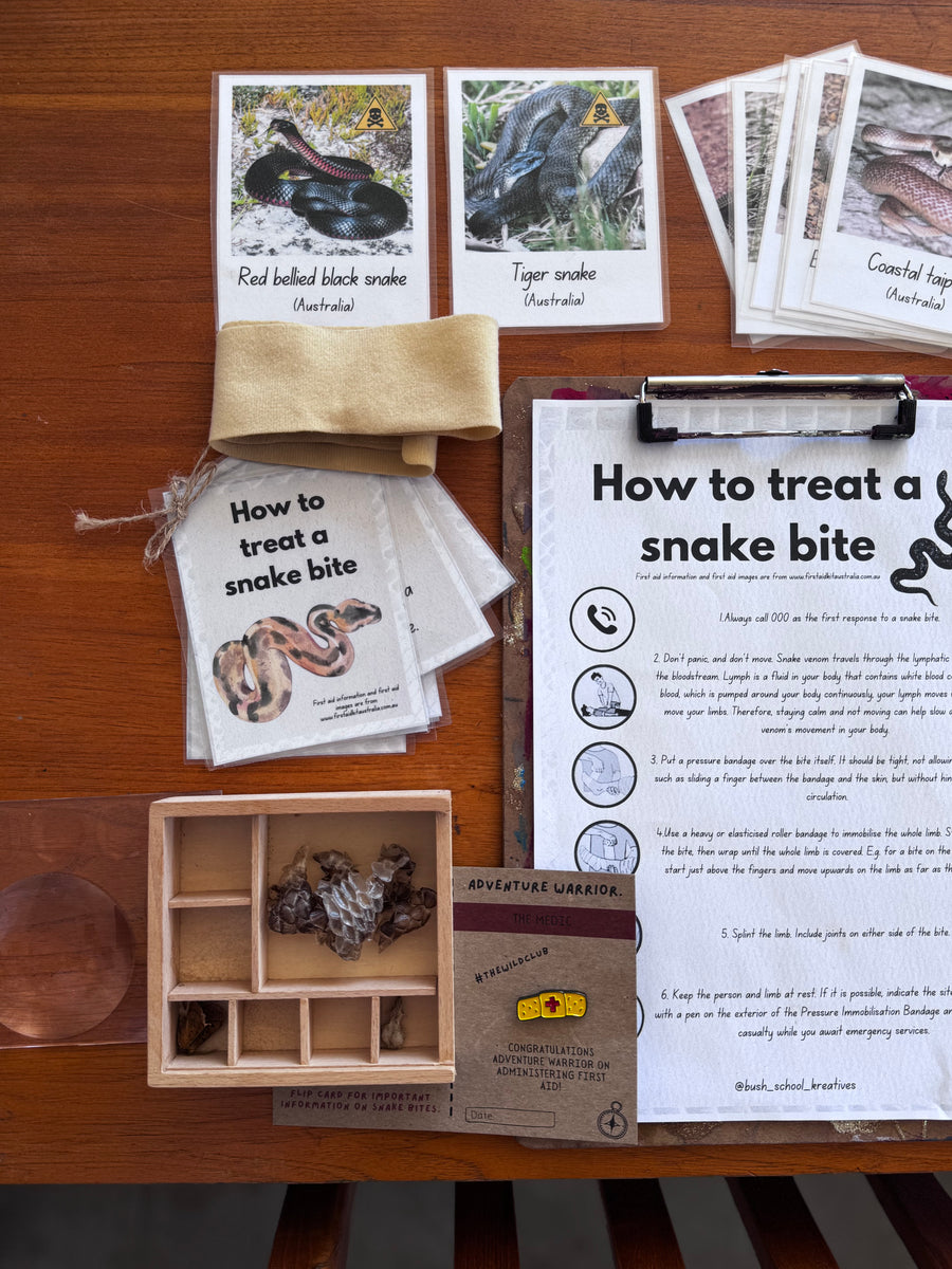 Adventure Warrior Box #3