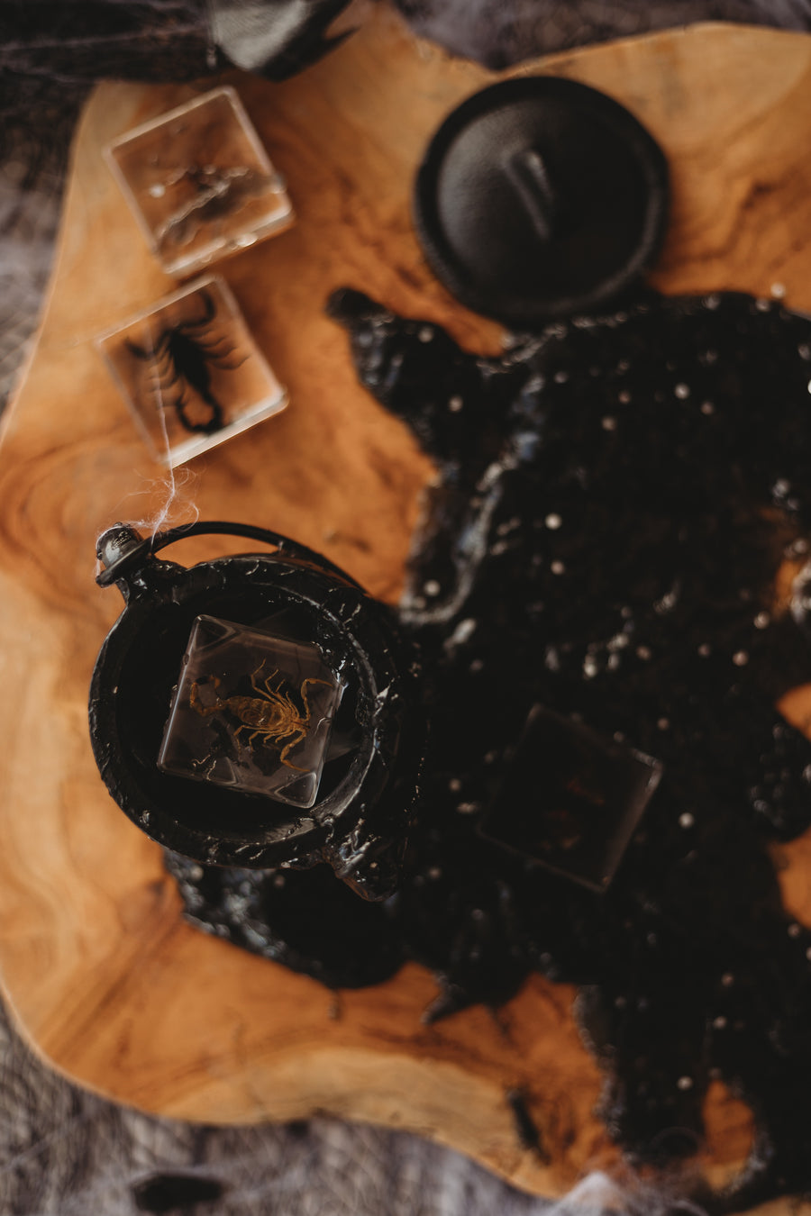 Creepy Crawlers Specimen Set