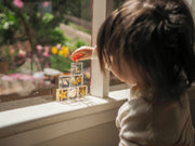 Sea Searchers Specimen Set