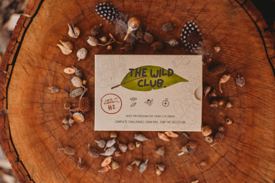 Earth Guardian Box #2