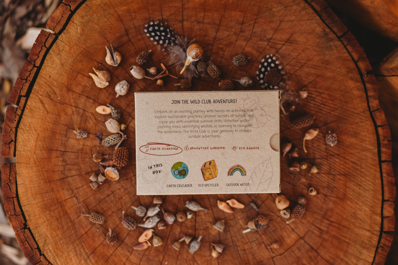 Earth Guardian Box #2