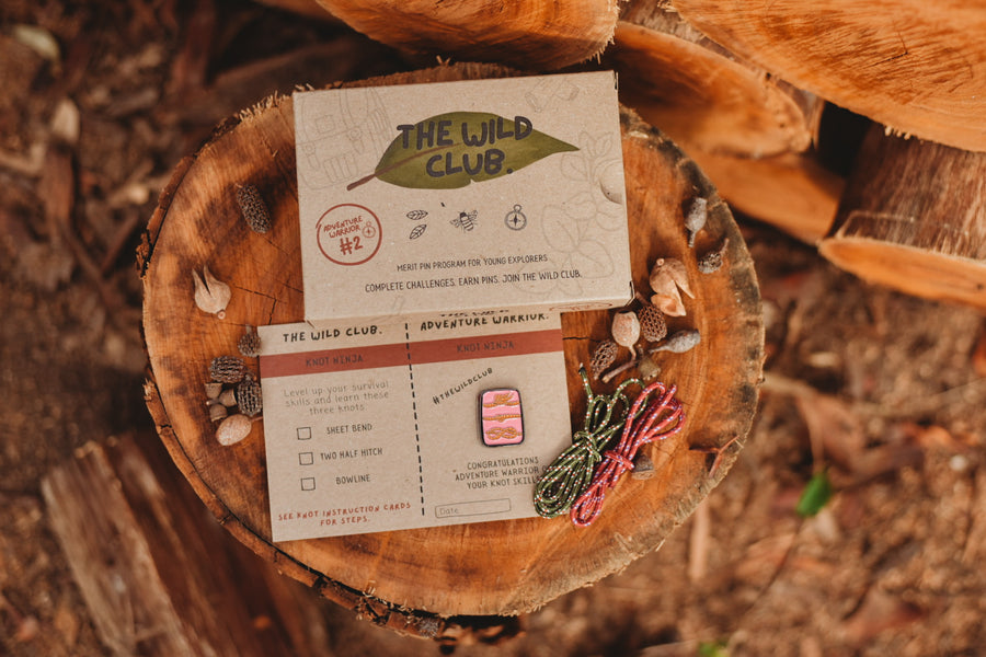 Adventure Warrior Box #2