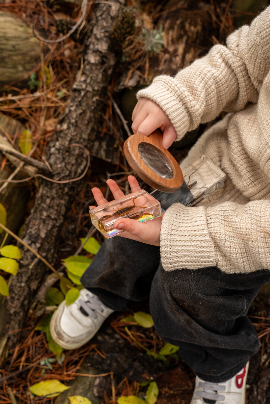 Golden Scorpion Specimen