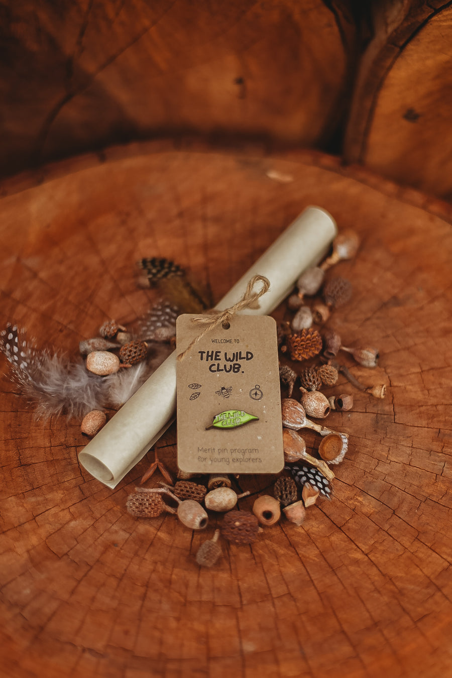 The Wild Club: Full Bundle