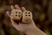 Wooden Dice