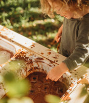 Creepy Crawlers Specimen Set
