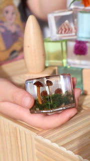 Mushroom and Moss Specimen Cube