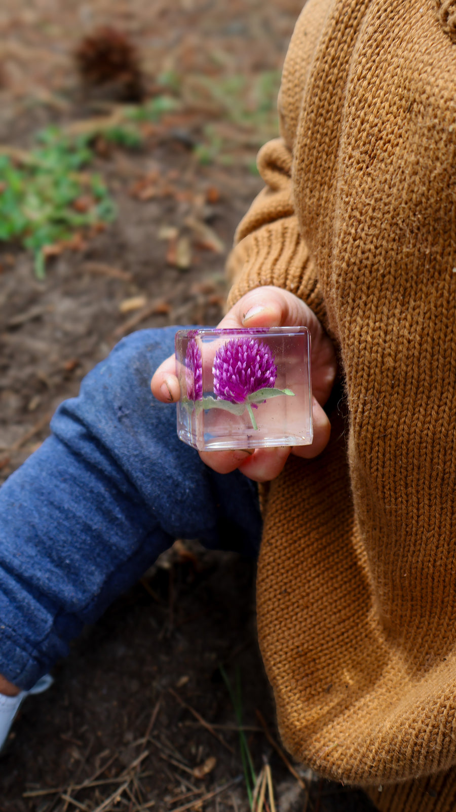 Globe Amaranth Specimen Cube