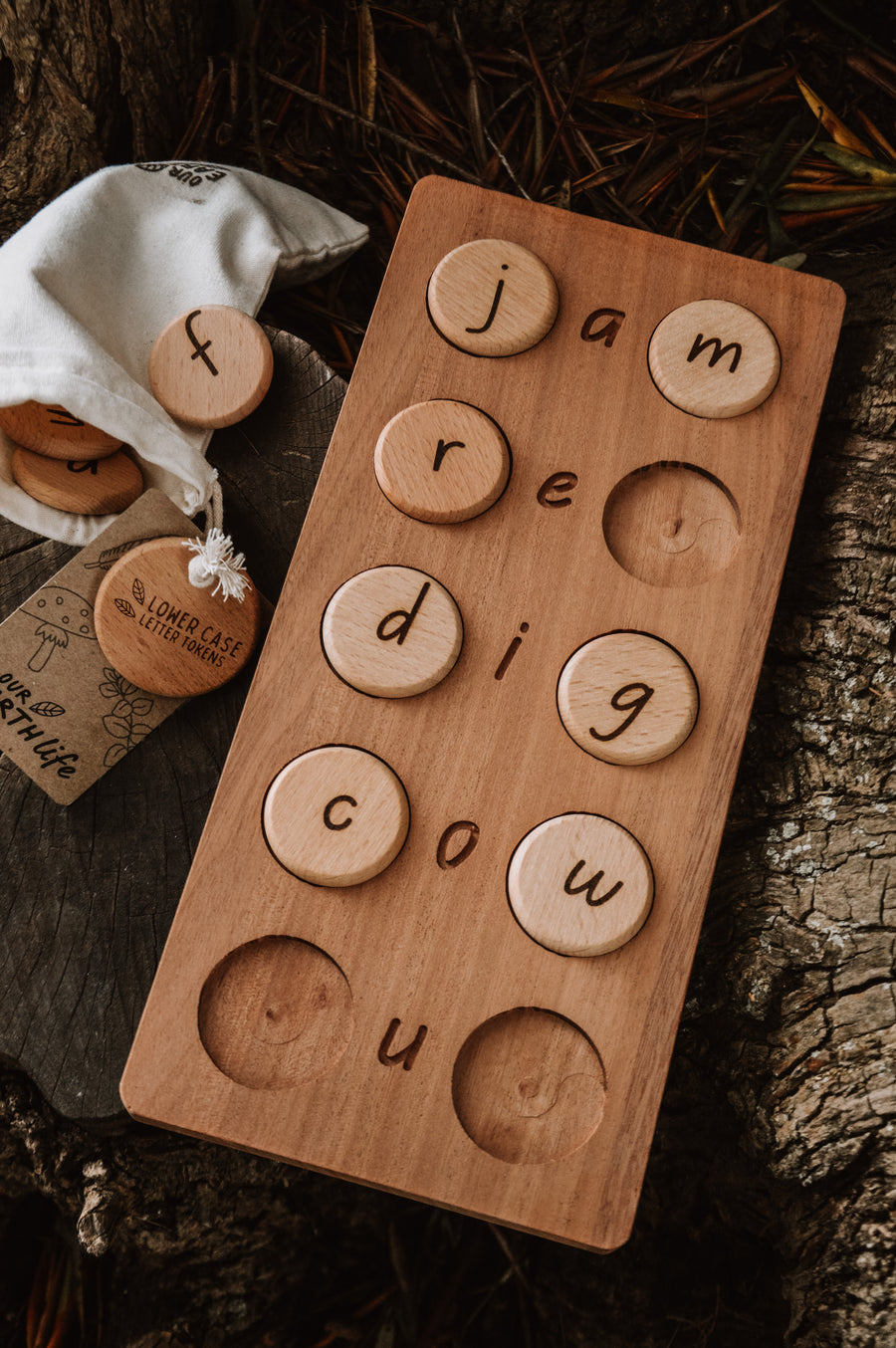 CVC Word Board + Tokens