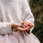 Chafer Beetle Specimen Set