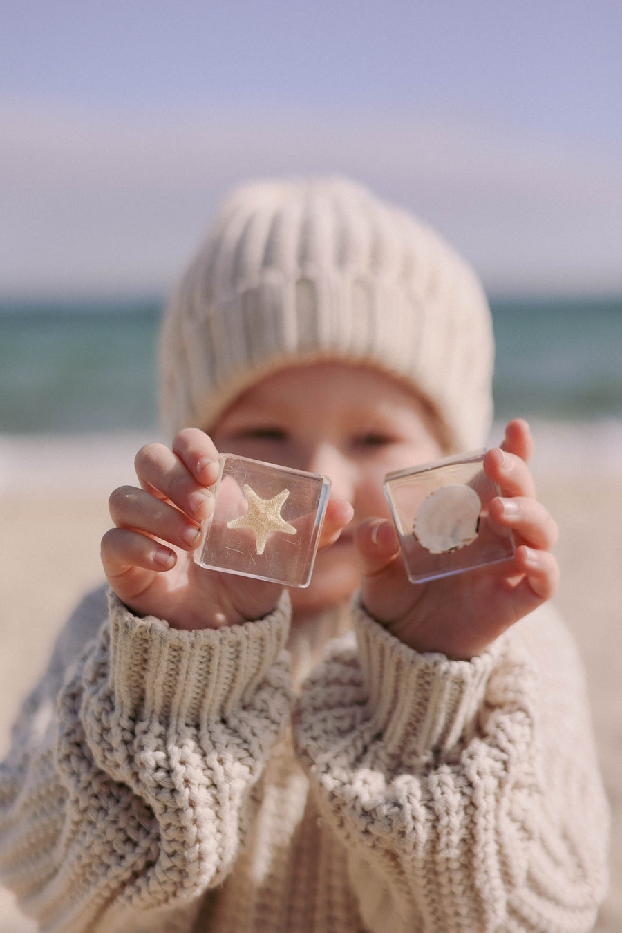 Sea Searchers Specimen Set