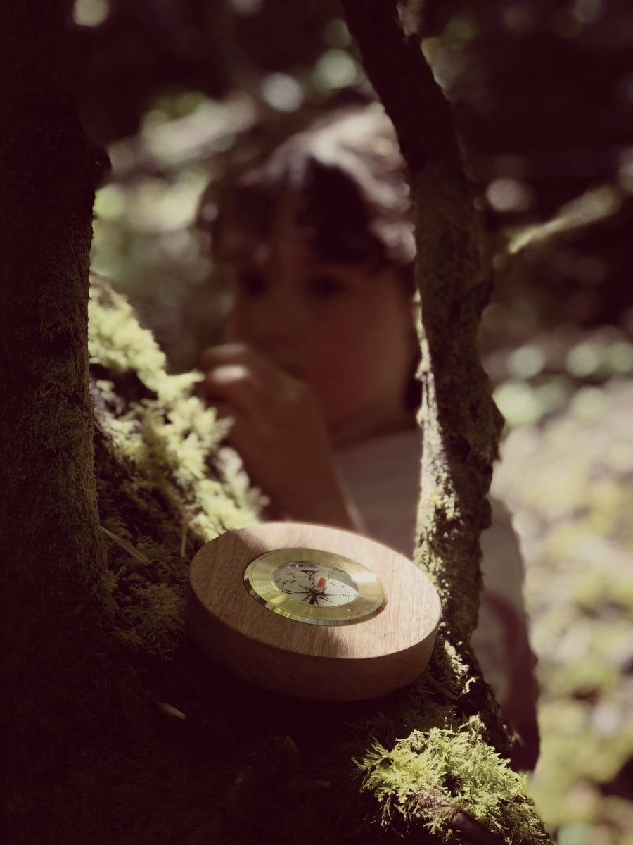 Wooden Compass