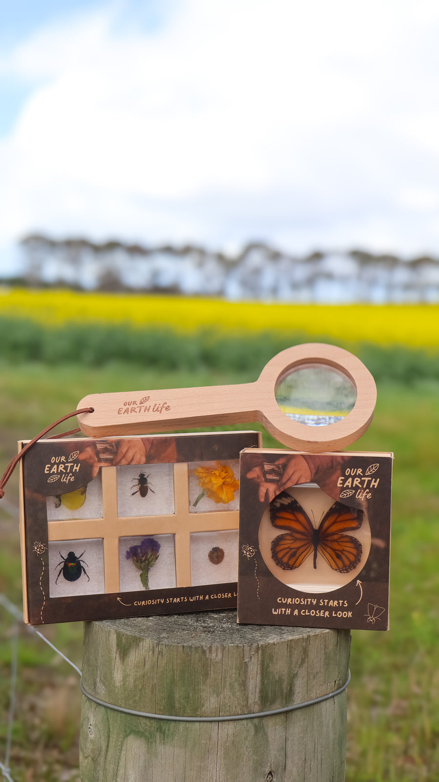 Spring Specimen Bundle