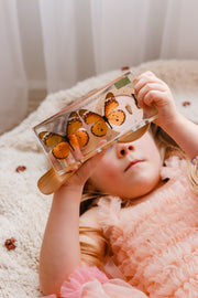 Butterfly Lifecycle Specimen Block