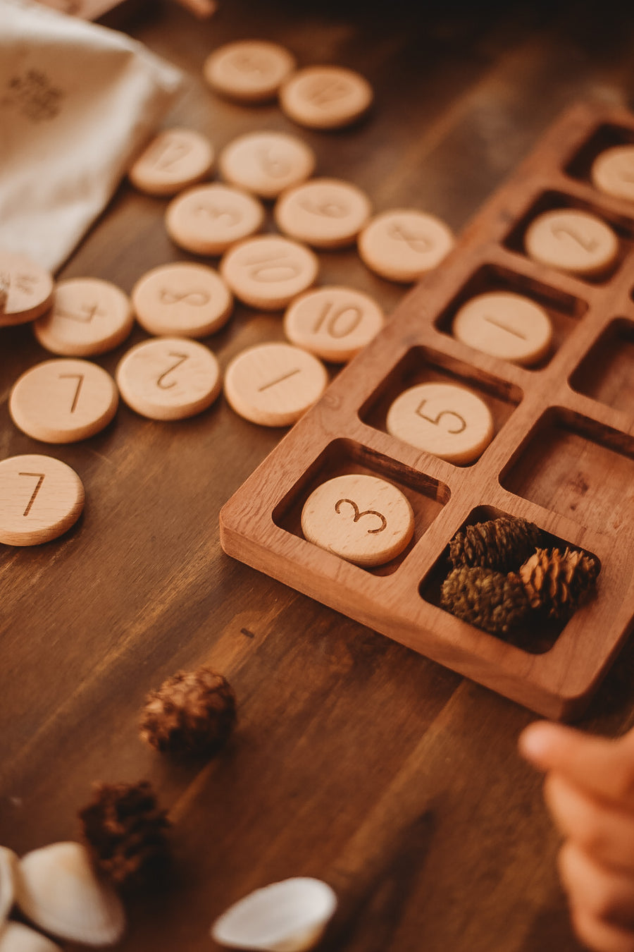 Tens Frame Sorting Tray
