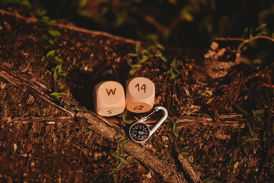 Compass Dice