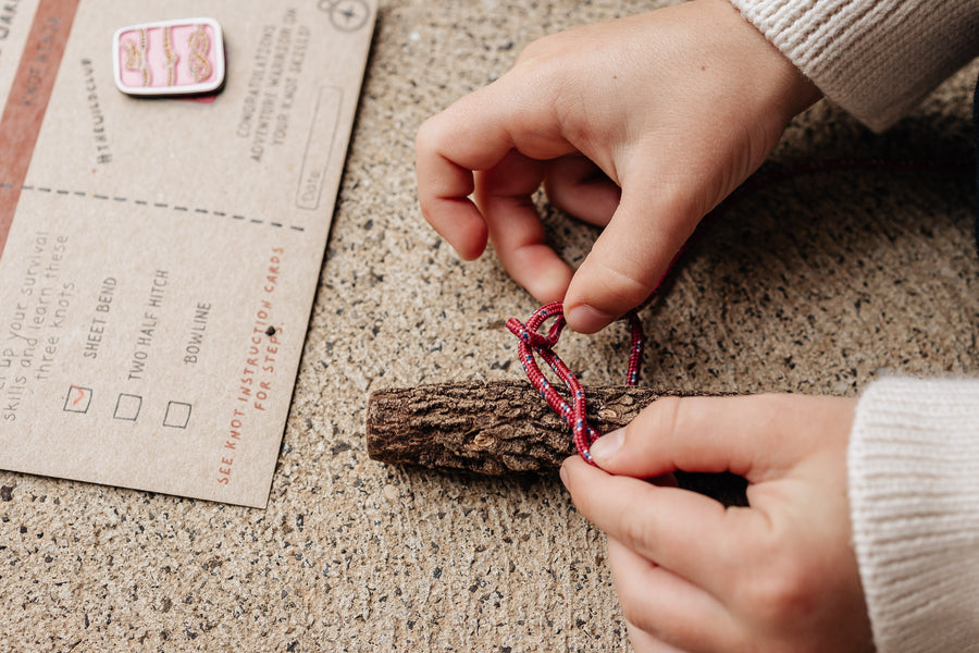 The Wild Club: Full Bundle