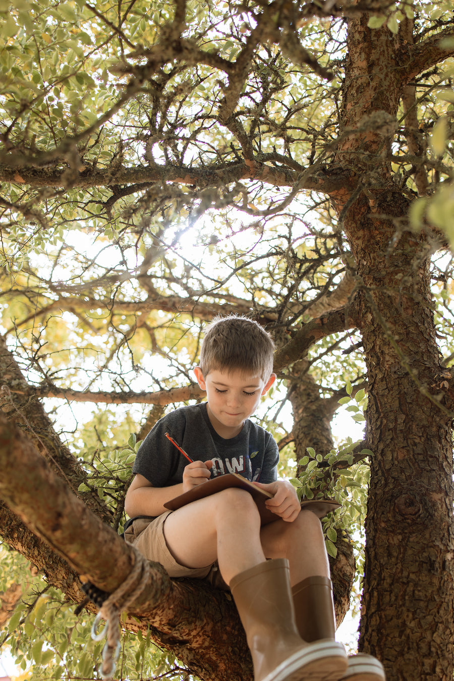 The Wild Club: Full Bundle