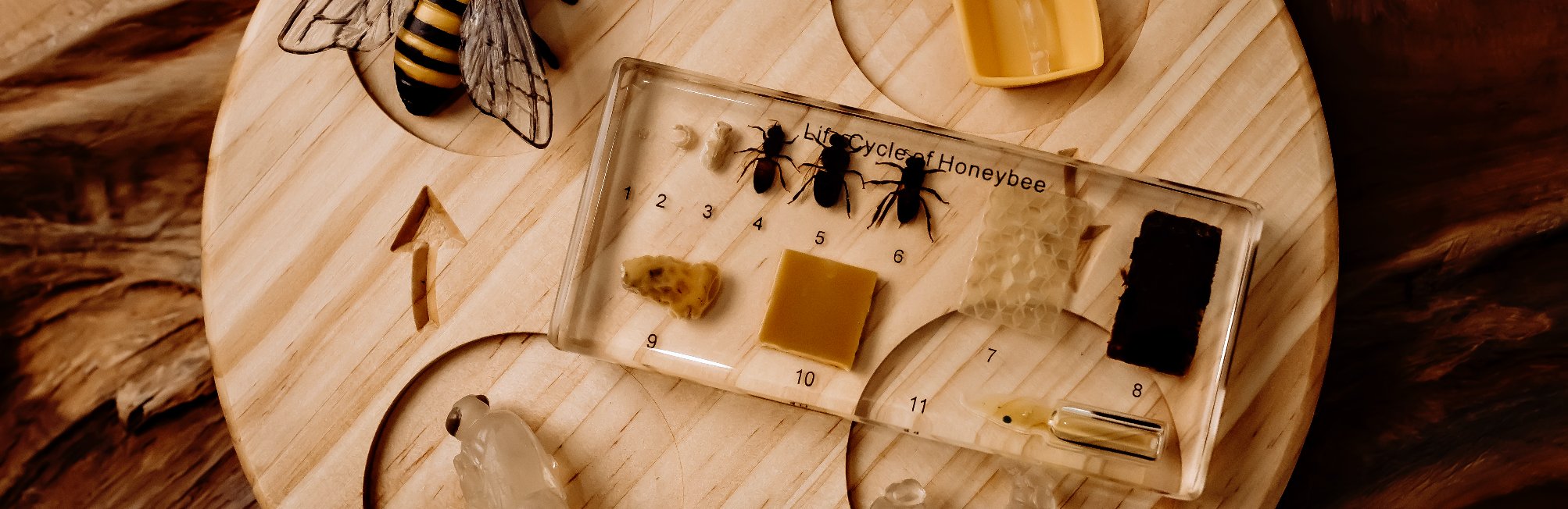 Large Specimens