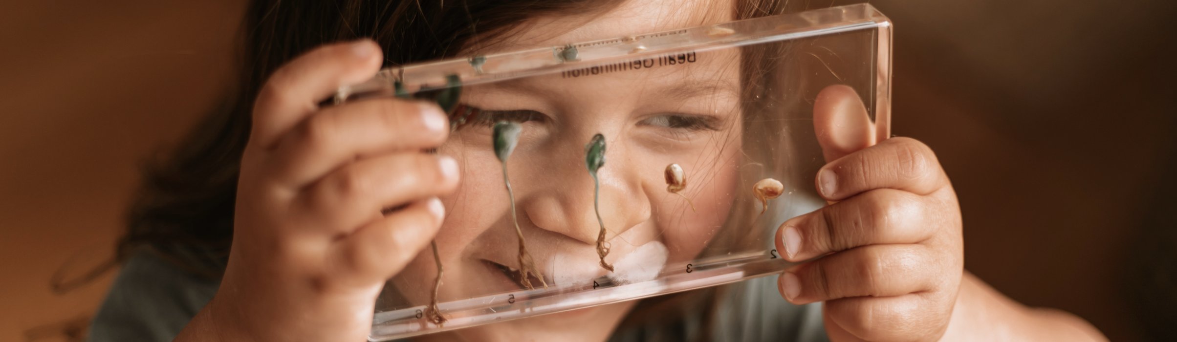 Lifecycle Resources - Our Earth Life