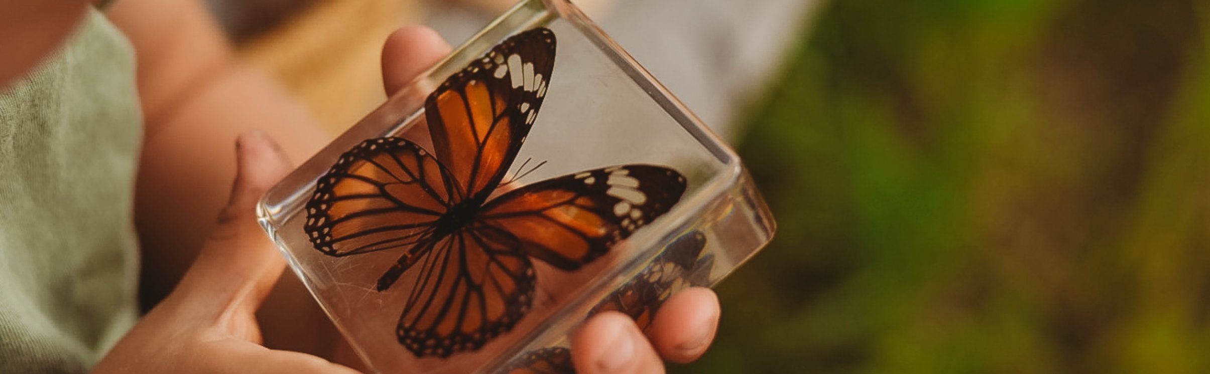 Specimens - Our Earth Life