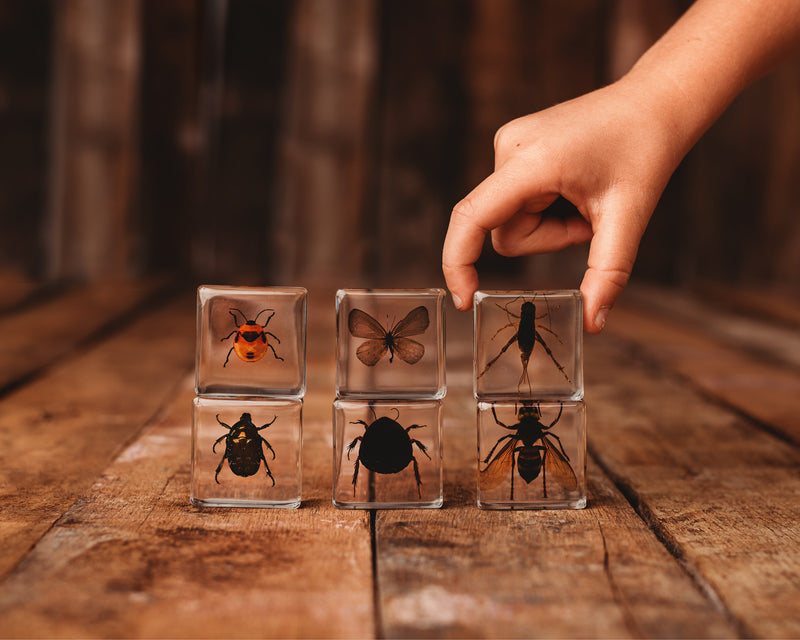 Science + Specimens