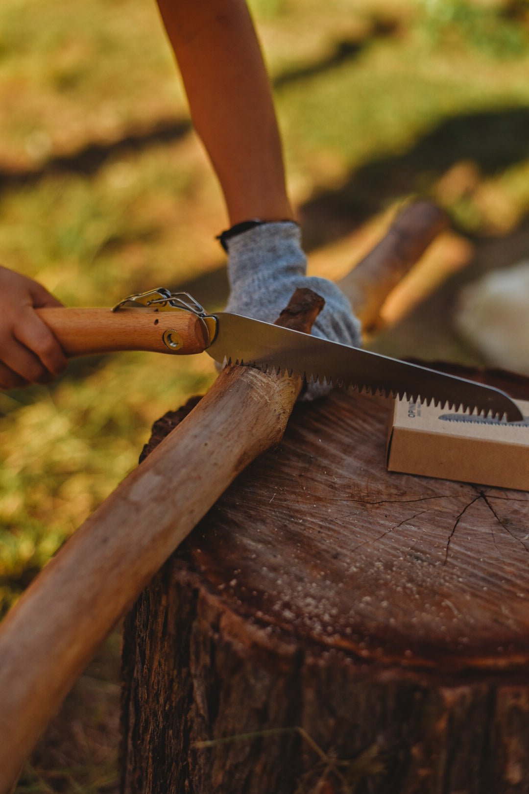 Tools + Risky Play - Our Earth Life