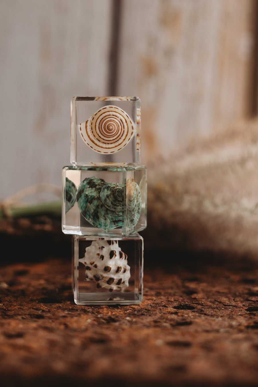 Summer Beachcomber Bundle