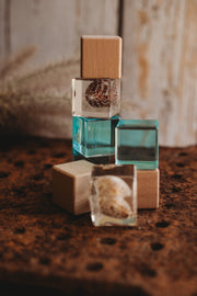 Shell Stackables Set