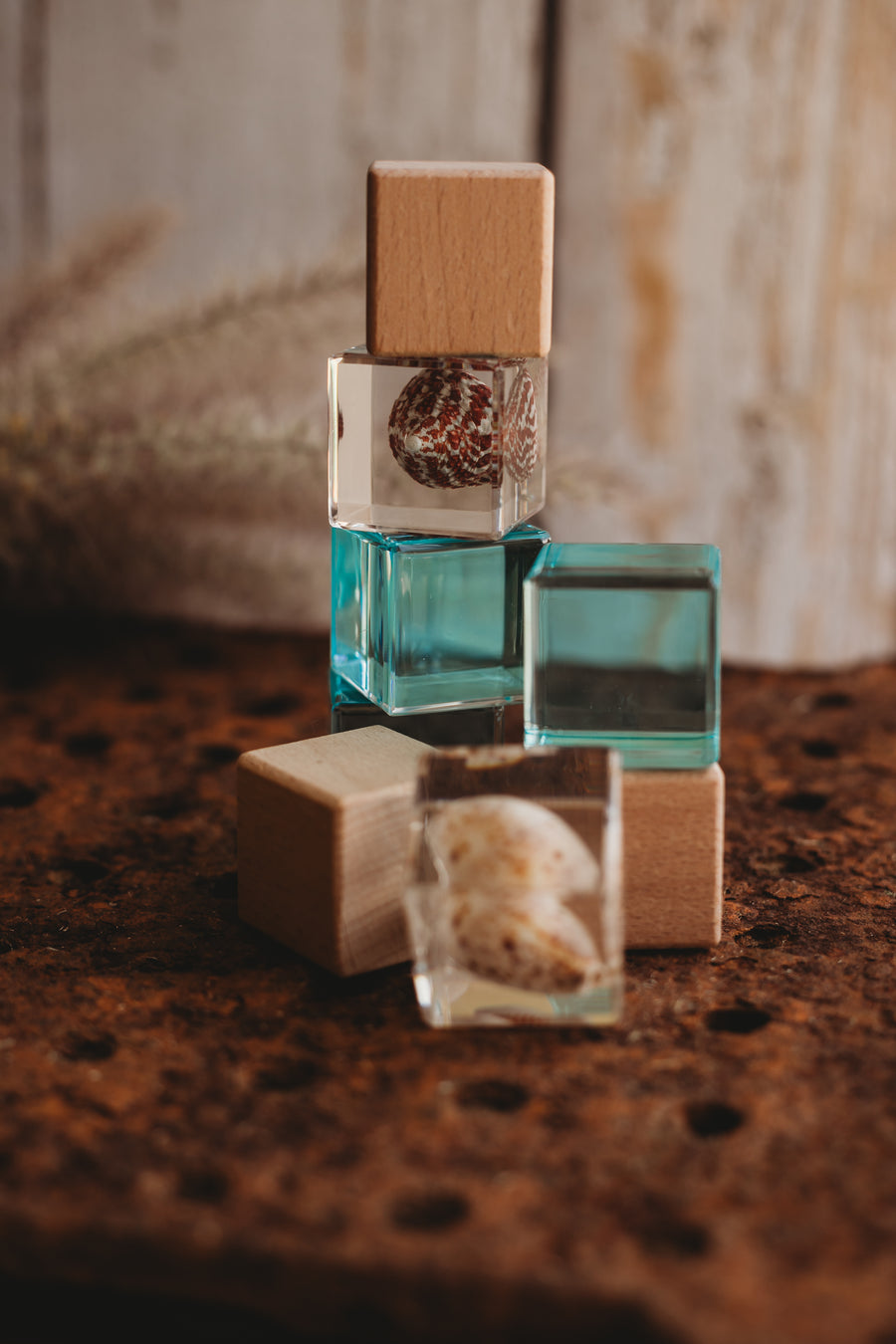 Shell Stackables Set