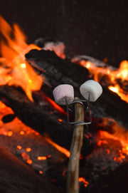 Fire 'n Grill Kit