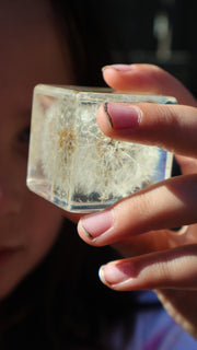 Dandelion Cube