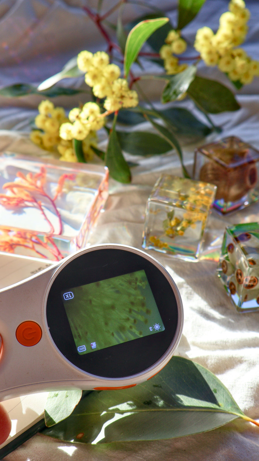 Digital Microscope