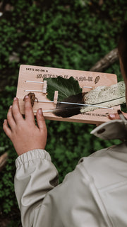 Nature Board