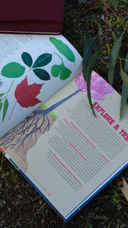 100 Ways to Save the Planet