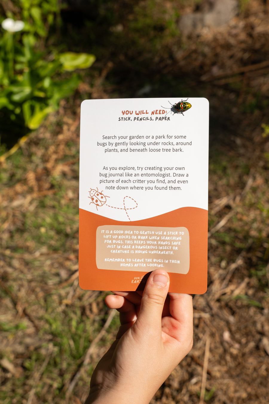 The Wild Club Play Deck: Nature Play Activity Cards