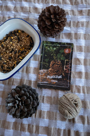 The Wild Club Play Deck: Nature Play Activity Cards
