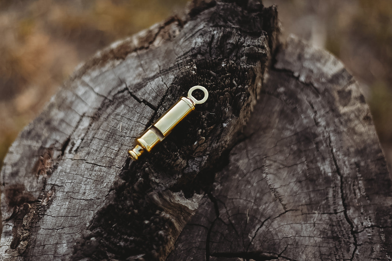 Brass Whistle