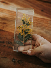 Wattle Specimen