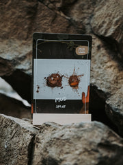 The Wild Club Play Deck: Nature Play Activity Cards