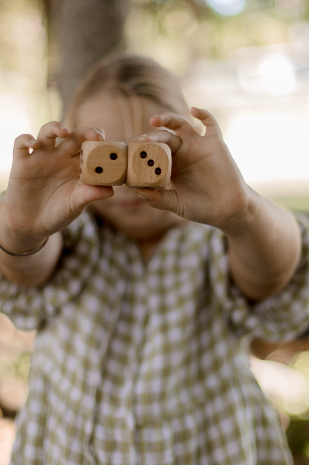 Wooden Dice