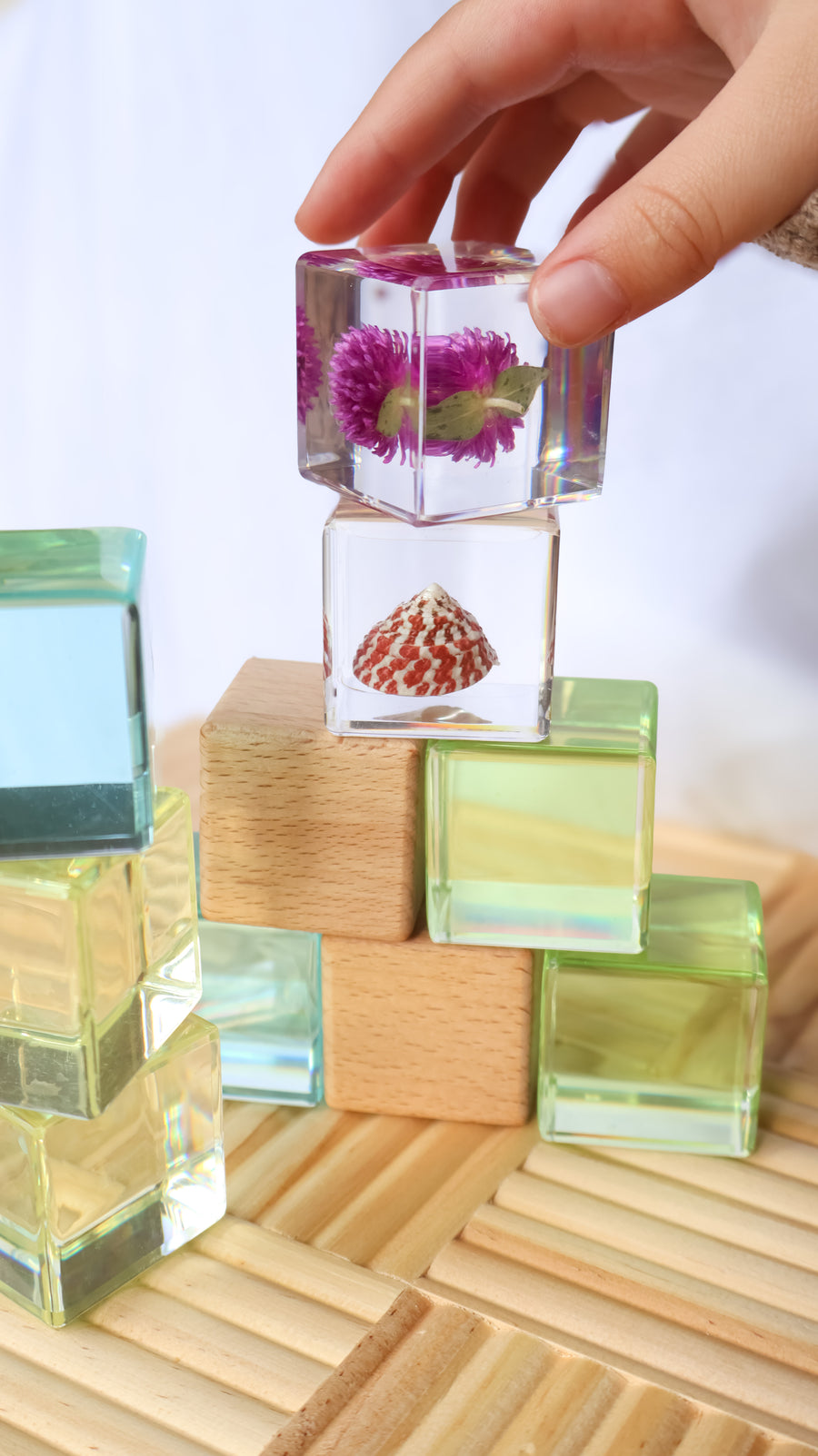 Strawberry Shell Specimen Cube