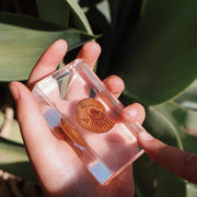 Ammonite Fossil Specimen