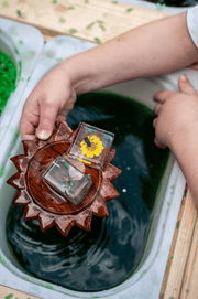 Bee and Flower Specimen - Our Earth Life